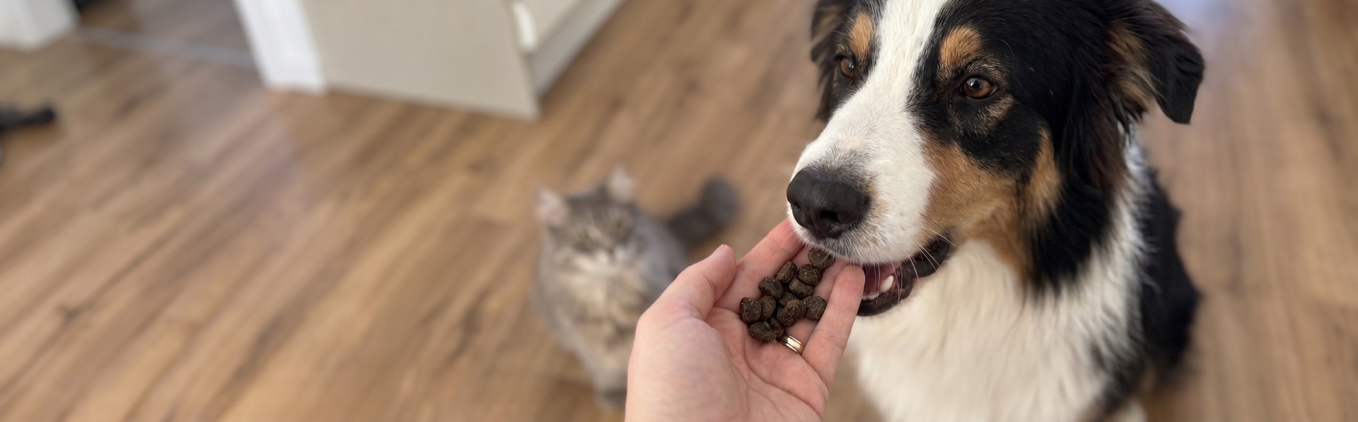 Lyopet ochutnávka spodní